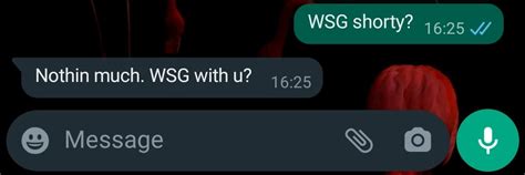 wsg meaning reply